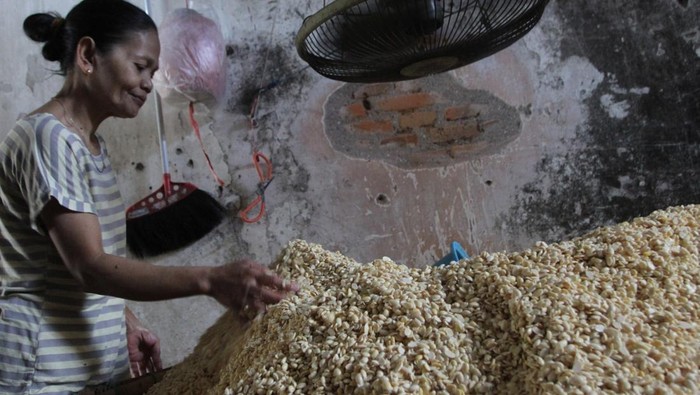 Perajin mengolah kedelai dalam proses pembuatan tempe di sentra industri tempe rumah tangga Sanan, Malang, Jawa Timur, Kamis (27/7/2023). Dalam sebulan terakhir, sulitnya mendapatkan gas elpiji 3 kg sebagai bahan bakar pembuatan tempe menyebabkan produksinya turun dari 300 kg menjadi 200 kg per hari. ANTARA FOTO/Ari Bowo Sucipto/Spt.