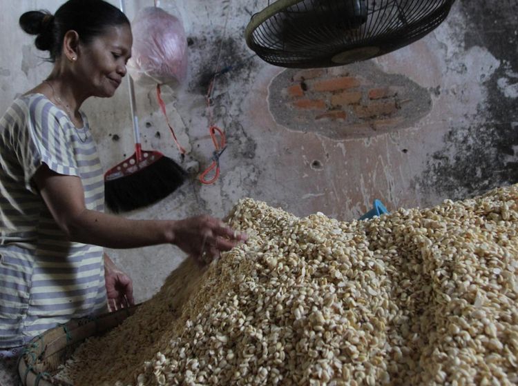 Perajin Tempe Keluhkan LPG Langka di Malang