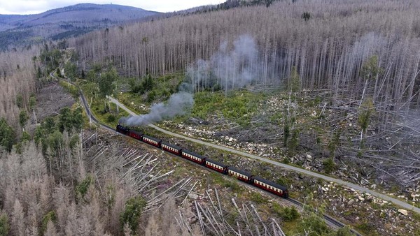 Menjelajah Pegunungan Harz Menggunakan Kereta Uap, Seru Banget