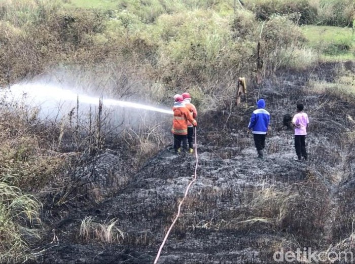 Tim Damkar Kulon Progo saat memadamkan sisa-sisa api di lahan pekarangan Dusun Paingan, Kalurahan Sendangsari, Kapanewon Pengasih, Kulon Progo, Kamis (27/7/2023).