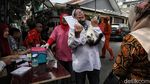 Waspada Rabies, Hewan Peliharaan di Petojo Utara Dapat Vaksin Gratis