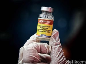 Peringati Hari Rabies, Pemkot Bandung Siapkan Vaksin Gratis