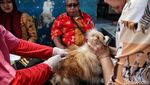 Waspada Rabies, Hewan Peliharaan di Petojo Utara Dapat Vaksin Gratis