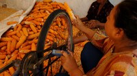 Perontokan jagung yang dijual Rp5.000 per kilogram untuk bahan baku pembuatan pakan ternak tersebut dilakukan secara tradisional menggunakan sepeda dan paku diikat kayu.  