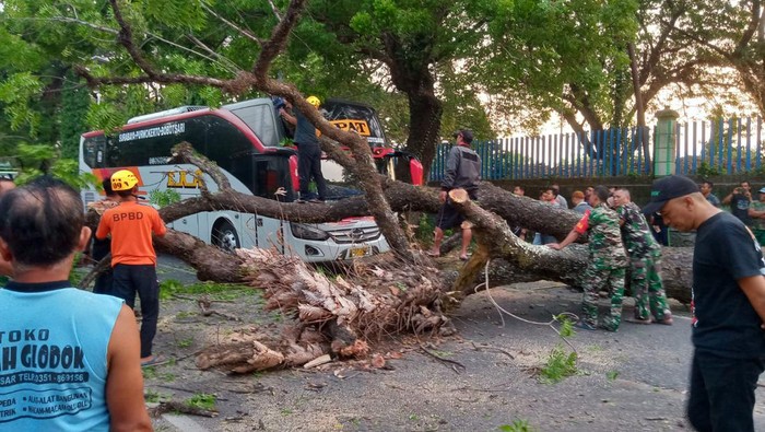 Bus Eka yang tertimpa pohon tunbang di Magetan