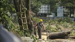 Depok Open Space Mulai Digarap