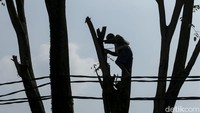 Pagu anggaran yang disiapkan yaitu Rp 4,1 miliar, untuk tahap pertama pengerjaan telah dilakukan sejak 18 Juli 2023 hingga 150 hari kalender kerja.