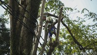 Pembangunan ini dilakukan untuk memenuhi harapan masyarakat yang ingin memiliki ruang berekspresi, khususnya bagi anak muda. Pemerintah berharap proyek ini bisa selesai tepat waktu dan bisa dirasakan manfaatnya untuk masyarakat.