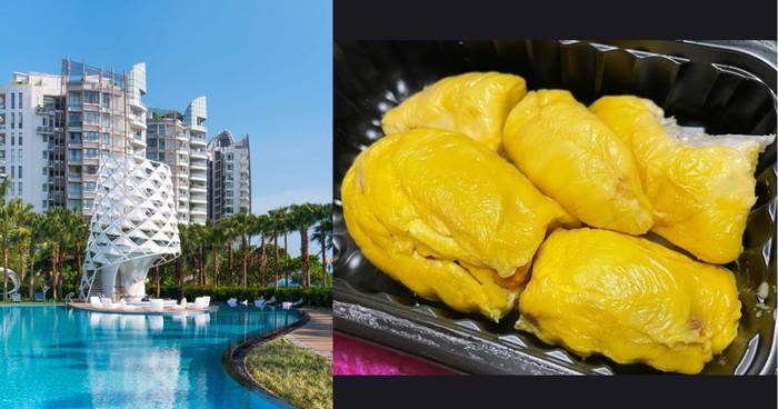 Duh! Turis Ini Hampir Kena Denda Rp 5,7 Juta Gegara Bawa Durian ke Hotel