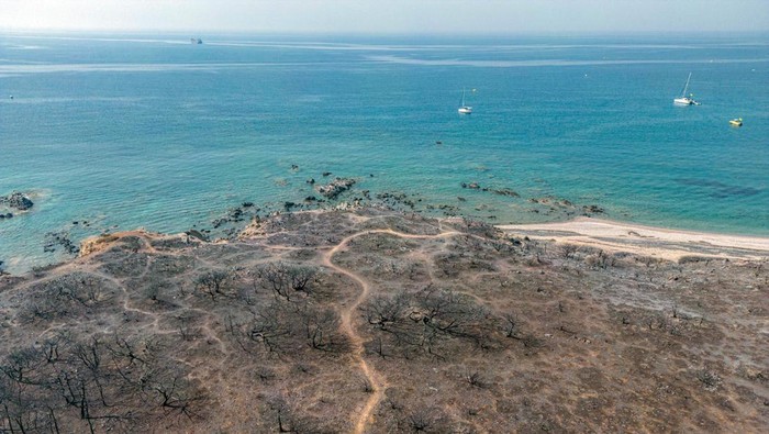 Foto Udara Pulau Wisata di Yunani Hangus Dilalap Kebakaran Hutan An aerial view of burned land by the sea, as a wildfire burns on the island of Rhodes, Greece, July 27, 2023. REUTERS/Nicolas Economou