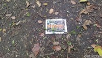 Bungkus obat kuat ditemukan di Hutan Kota Cawang. Hutan kota itu didominasi pohon-pohon besar dan dipenuhi tumpukan daun. Ada satu bilik bambu yang terlihat berada di dalam hutan. (Kurniawan F/detikcom)