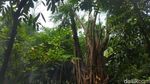 Potret Hutan Kota Cawang Diduga Jadi Sarang LGBT Kini Dijaga 24 Jam