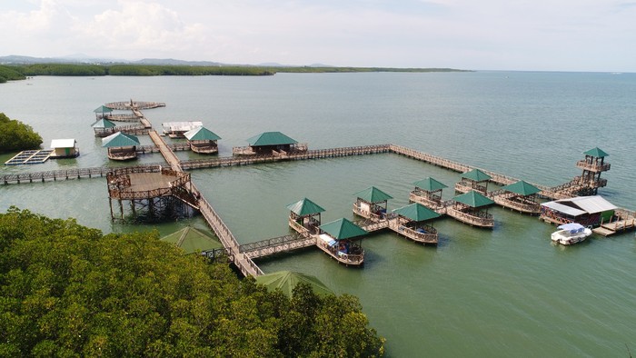 Hutan Mangrove Tongke-Tongke