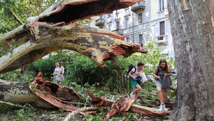 People walk through fallen trees following thunderstorms and torrential rain in Milan, Italy July 25, 2023. REUTERS/Claudia Greco