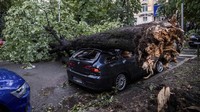 Pohon yang tumbang akibat badai menimpa mobil yang sedang parkir. AP/Claudio Furlan  