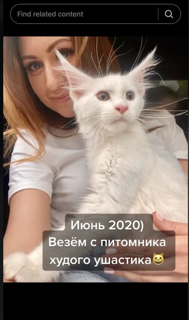 Pada salah satu unggahan di TikTok, Yuliya memperlihatkan bagaimana penampakan Kefir saat mulai dipeliharanya di 2020. Kefir menjadi atensi pada 2022 saat usianya baru dua tahun tapi beratnya sudah mencapai 12,7 kg. Foto: Dok. Instagram @yuliyamnn