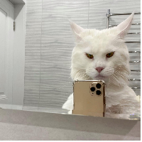 “Di malam hari dia suka naik ke tempat tidur dan tidur bersamaku. Saat dia masih anak kucing, itu tidak masalah. Tapi sekarang dia semakin besar dan berat, tentu saja sulit untuk tidur seperti itu,” kata Yuliya. Foto: Dok. Instagram @yuliyamnn