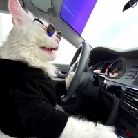 Saat diwawancara pada 2022, Yuliya pemilik Kefir mengaku sulit membayangkan kucingnya akan tumbuh lebih besar lagi. “Maine Coon tumbuh selama 3-4 tahun. Oleh karena itu aku merasa dia bisa menjadi lebih besar,” katanya. Foto: TikTok @mainecoonkefir