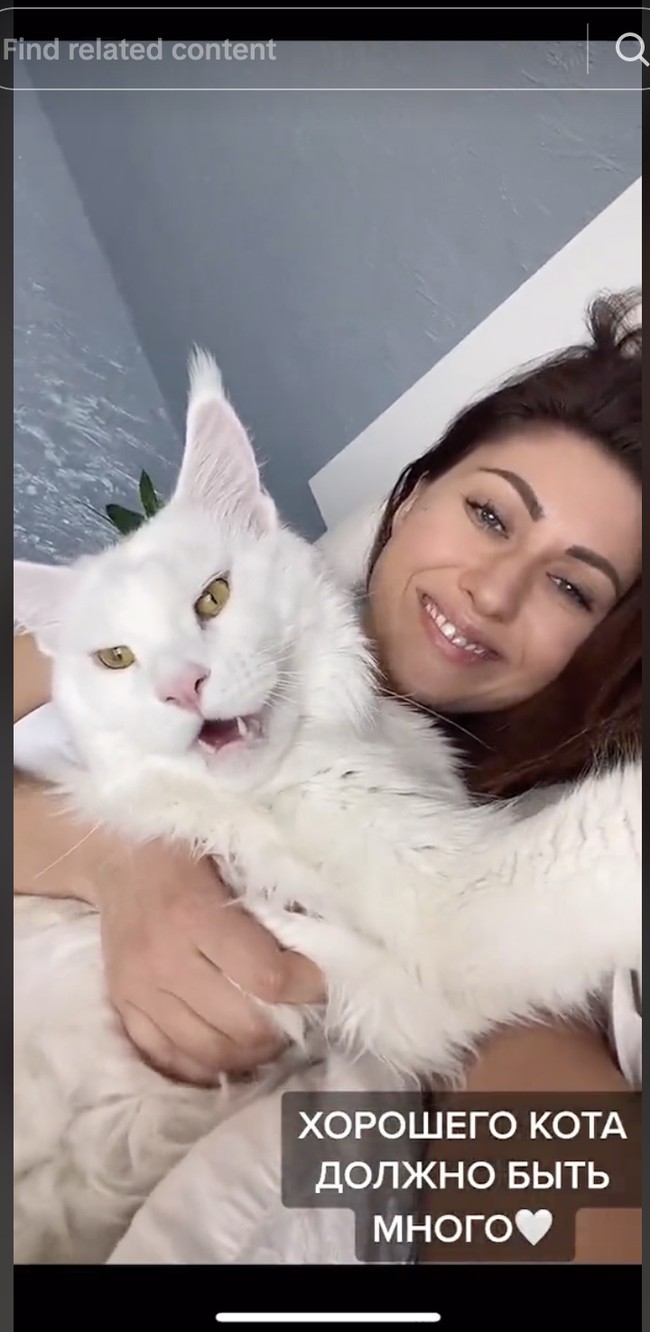 Kucing terbesar di dunia yang bernama Kefir ini mulai viral setelah diunggah Yuliya Minima sang pemilik ke TikTok lewat akun @mainecoonkefir. Video kebersamaan Yuliya yang tengah berbaring bersama Kefir sudah ditonton lebih dari 1,5 juta kali. Foto: Dok. Instagram @yuliyamnn