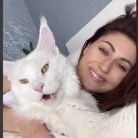 Kucing terbesar di dunia yang bernama Kefir ini mulai viral setelah diunggah Yuliya Minima sang pemilik ke TikTok lewat akun @mainecoonkefir. Video kebersamaan Yuliya yang tengah berbaring bersama Kefir sudah ditonton lebih dari 1,5 juta kali. Foto: Dok. Instagram @yuliyamnn