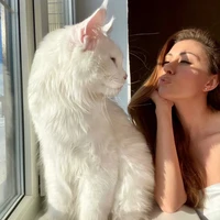 Kefir yang disebut Yuliya sebagai kucing terbesar di dunia kerap dikira anjing oleh orang lain. Di balik penampilan Kefir yang terlihat tangguh, kucing tersebut sangat suka bermanja-manja.  Foto: TikTok @mainecoonkefir