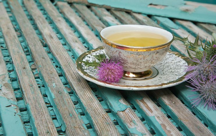 milk thistle