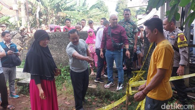 Kuburan Penuh Lalat di Bogor Bikin Geger Ternyata Berisi Mayat Kucing