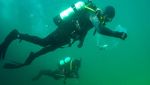 Penampakan Hotel untuk Kuda Laut yang Terancam Punah