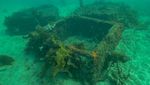 Penampakan Hotel untuk Kuda Laut yang Terancam Punah
