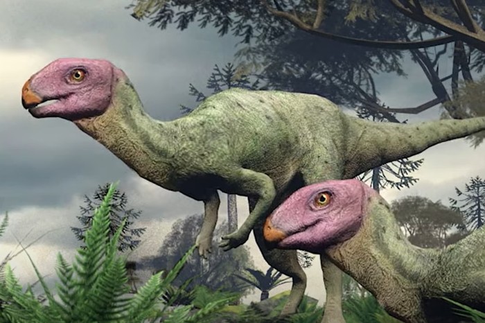 Spesies Baru Dinosaurus Berwajah Pink Ditemukan di Thailand