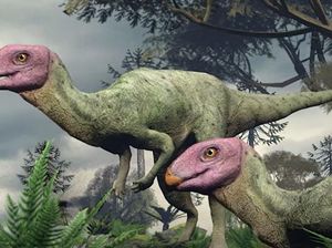 Ilmuwan Temukan Fosil Kunci Asal-usul Dinosaurus