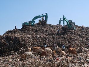 Jogja Darurat Sampah Buntut Penutupan TPA Piyungan