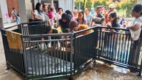 Penampakan sumur keramat dipagar besi. Konon, air sumur ini tak pernah surut meski kemarau tengah melanda. (Foto: Sudedi Rasmadi/detikJabar)