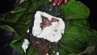 Nasi jangkrik merupakan nasi berlauk daging kerbau dan kambing yang dibungkus daun jati.  