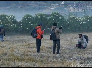 Embun Es Bikin Dieng Memutih yang Jadi Magnet Wisatawan