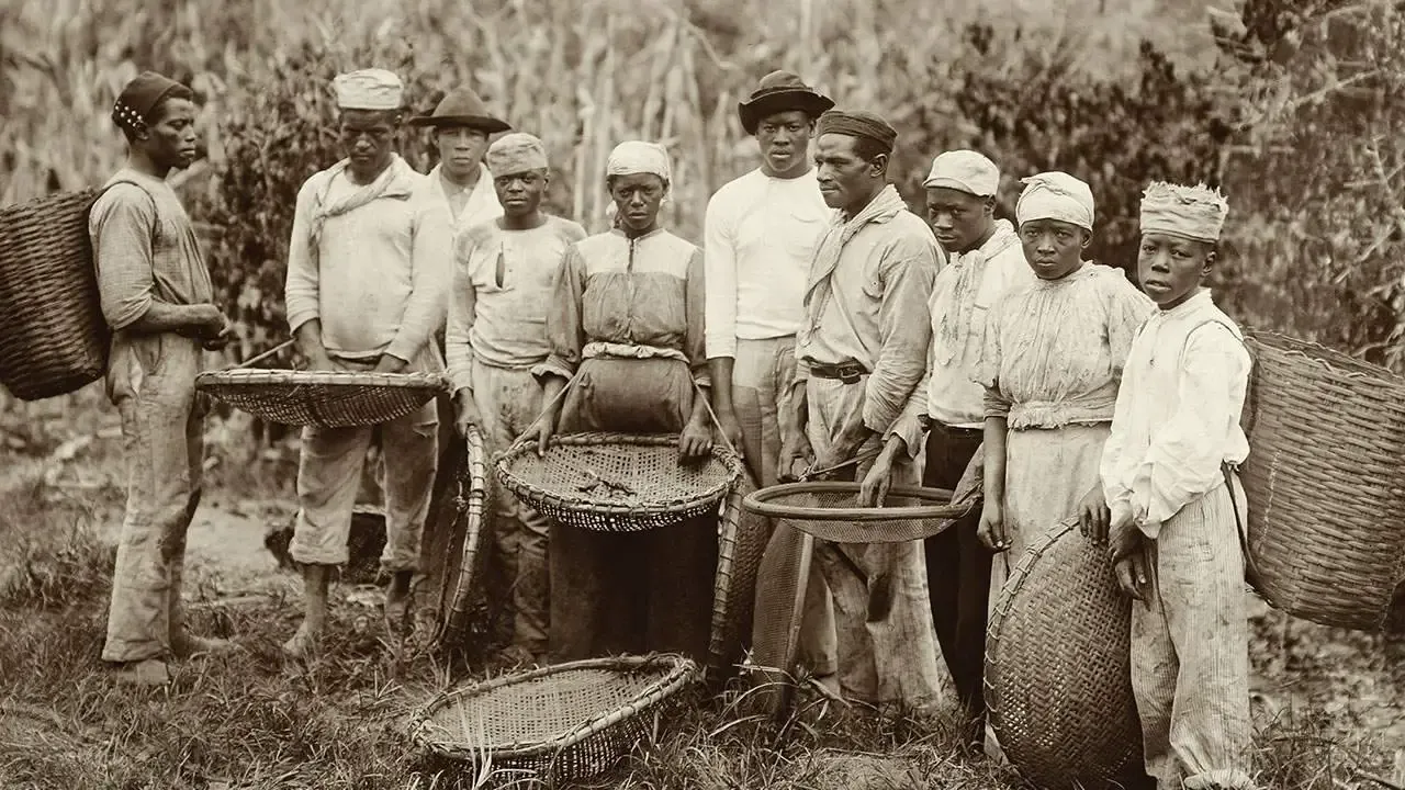 5 Fakta Menarik Sejarah Kopi, Sempat Dilarang Sampai Disebut Bikin Impotensi