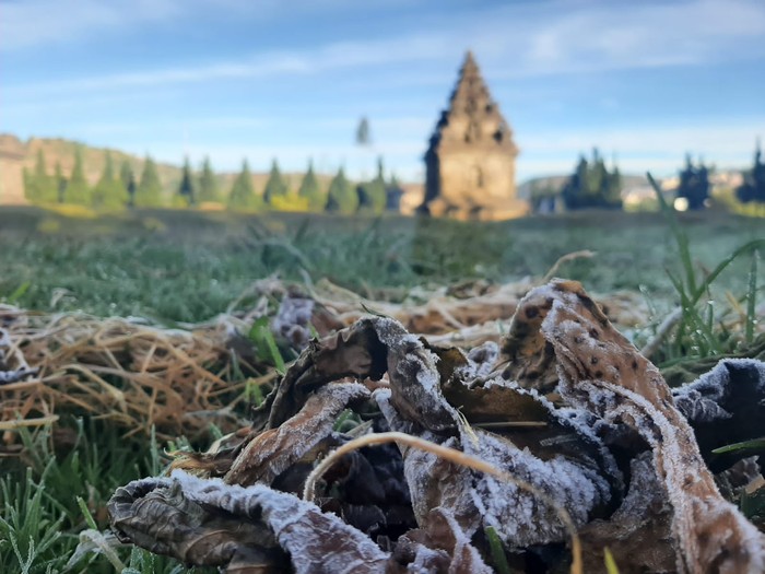 Embun membeku di kompleks Candi Arjuna Dieng. Diunggah Sabtu (29/7/2023).