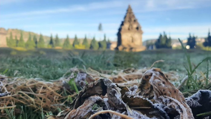 Embun membeku di kompleks Candi Arjuna Dieng. Diunggah Sabtu (29/7/2023).