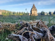 Dataran Tinggi Dieng Diusulkan Jadi Geopark, Apa Alasannya?