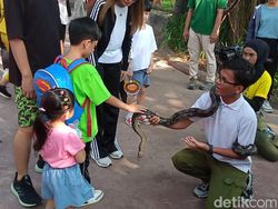 Aksi Menggemaskan Jan Ethes Pegang Ular Hingga Naik Kuda Poni