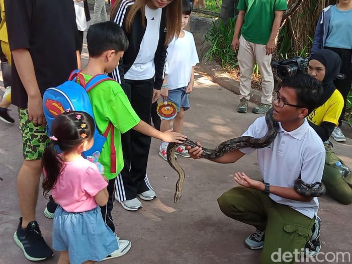 Jan Ethes & La Lembah Jan Ethes & La Lembah tampak berinteraksi dengan satwa di Solo Safari dalam acara Senam dan Pentas Ceria Anak Indonesia yang digelar Sabtu (29/7/2023).