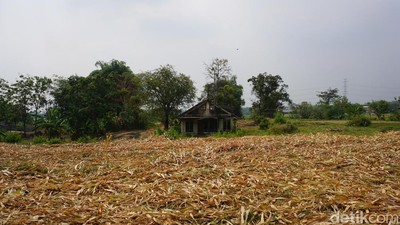 Penampakan Kampung Hilang di Mojokerto