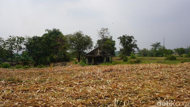 Desa Tampingrejo di Kecamatan Dlanggu, Kabupaten Mojokerto benar-benar ditinggalkan penduduknya. Kini hanya 2 rumah yang tersisa di kampung berjuluk Mojokoncot tersebut, sehingga disebut kampung hilang.