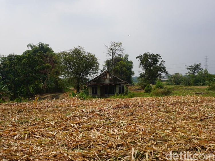 Penampakan Kampung Hilang di Mojokerto