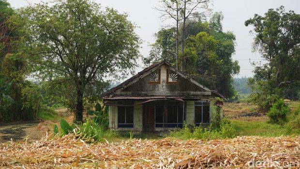 Desa Tampingrejo di Kecamatan Dlanggu, Kabupaten Mojokerto benar-benar ditinggalkan penduduknya. Kini hanya 2 rumah yang tersisa di kampung berjuluk Mojokoncot tersebut, sehingga disebut kampung hilang.
