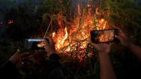 Menurut Kepala Desa Suak Raya Abdullah, kebakaran hutan dan lahan yang terjadi sejak tiga hari terakhir telah mencapai 14 ha lebih.