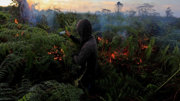 Jurnalis mengambil gambar saat kebakaran lahan gambut di kawasan Desa Suak Raya, Johan Pahlawan, Aceh Barat, Aceh, Jumat (28/7/2023). Menurut Kepala Desa Suak Raya Abdullah, kebakaran hutan dan lahan yang terjadi sejak tiga hari terakhir telah mencapai 14 ha lebih dan berdampak munculnya kabut asap tebal ke kawasan pemukiman penduduk. ANTARA FOTO/Syifa Yulinnas/Spt.