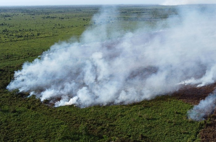 Jurnalis mengambil gambar saat kebakaran lahan gambut di kawasan Desa Suak Raya, Johan Pahlawan, Aceh Barat, Aceh, Jumat (28/7/2023). Menurut Kepala Desa Suak Raya Abdullah, kebakaran hutan dan lahan yang terjadi sejak tiga hari terakhir telah mencapai 14 ha lebih dan berdampak munculnya kabut asap tebal ke kawasan pemukiman penduduk. ANTARA FOTO/Syifa Yulinnas/Spt.