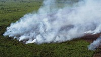 Foto udara kebakaran lahan gambut di kawasan Desa Suak Raya, Johan Pahlawan, Aceh Barat, Aceh, Jumat (28/7/2023).