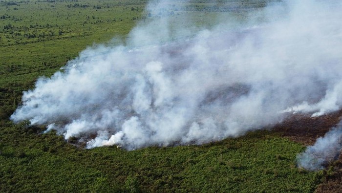 Kebakaran hutan dan lahan di Aceh Barat Jurnalis mengambil gambar saat kebakaran lahan gambut di kawasan Desa Suak Raya, Johan Pahlawan, Aceh Barat, Aceh, Jumat (28/7/2023). Menurut Kepala Desa Suak Raya Abdullah, kebakaran hutan dan lahan yang terjadi sejak tiga hari terakhir telah mencapai 14 ha lebih dan berdampak munculnya kabut asap tebal ke kawasan pemukiman penduduk. ANTARA FOTO/Syifa Yulinnas/Spt.